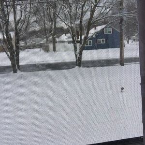 Meet your Posher, Eva